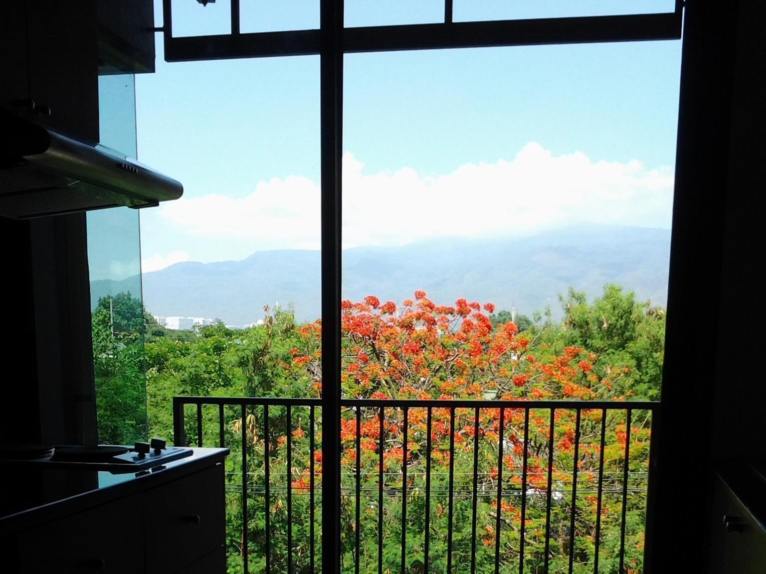 Tree Boutique Resort Chiang Mai Exterior photo